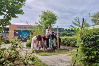 boom planten
